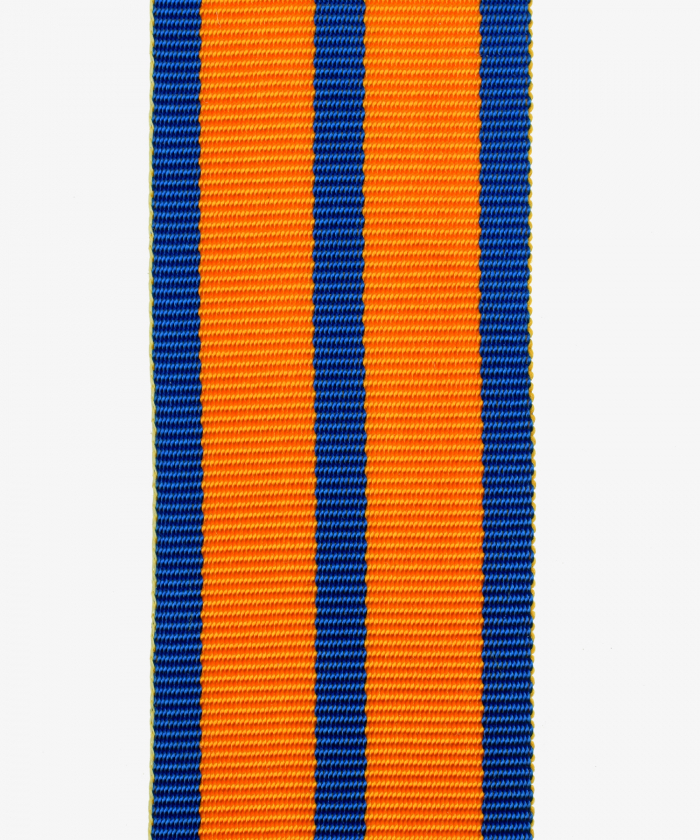 Schwarzburg-Sonderhausen, Fürstlich Schwarzburgisches Ehrenkreuz, Silberne Ehrenmedaille für Kriegsverdienst (101)